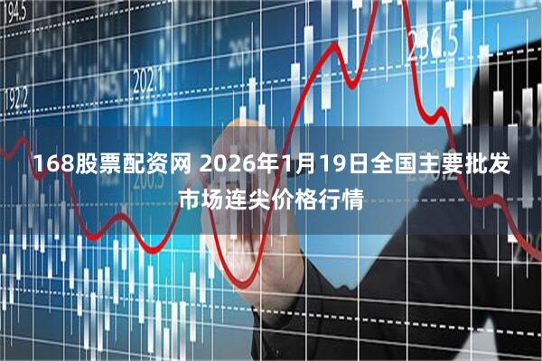 168股票配资网 2026年1月19日全国主要批发市场连尖价格行情