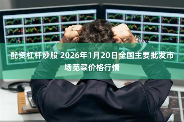 配资杠杆炒股 2026年1月20日全国主要批发市场苋菜价格行情